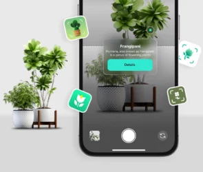 Best Plant Identifier App for iPhone