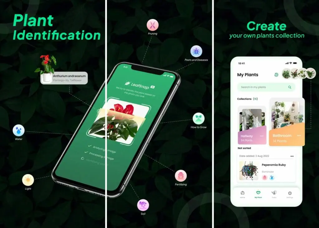 Leafsnap