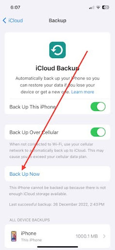 Tap Back Up Now to initiate the backup