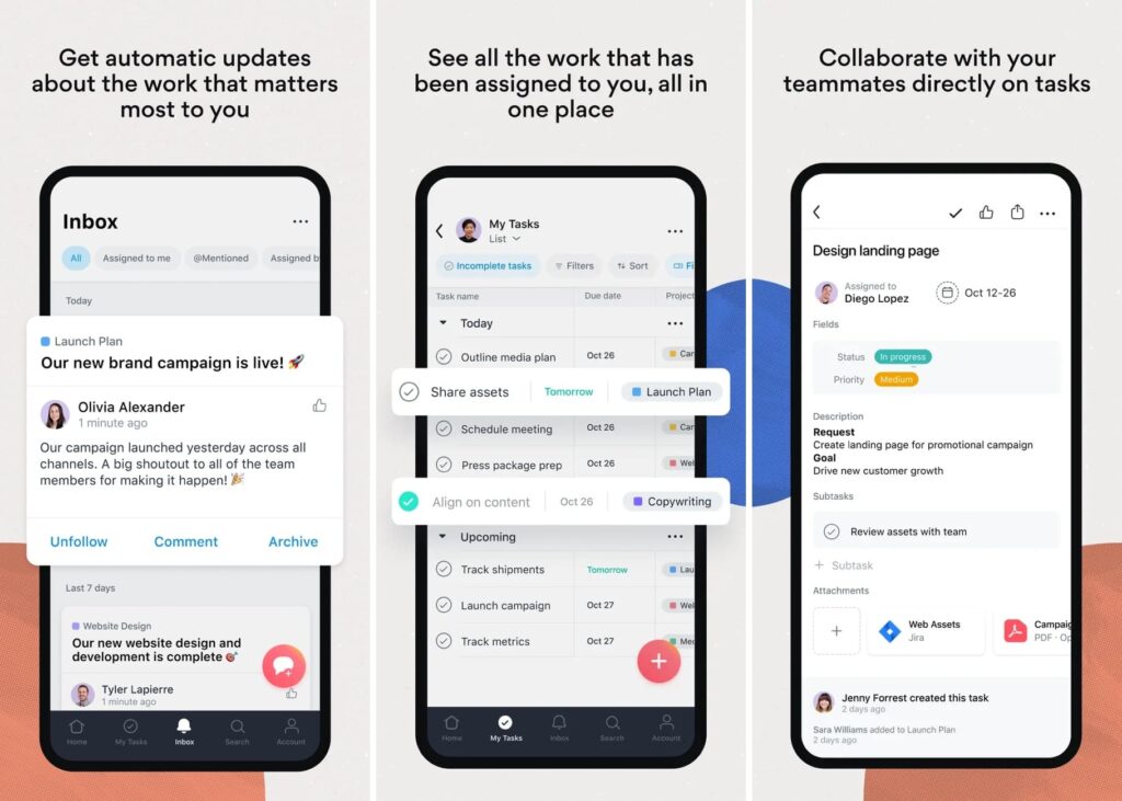 Asana Team Management App