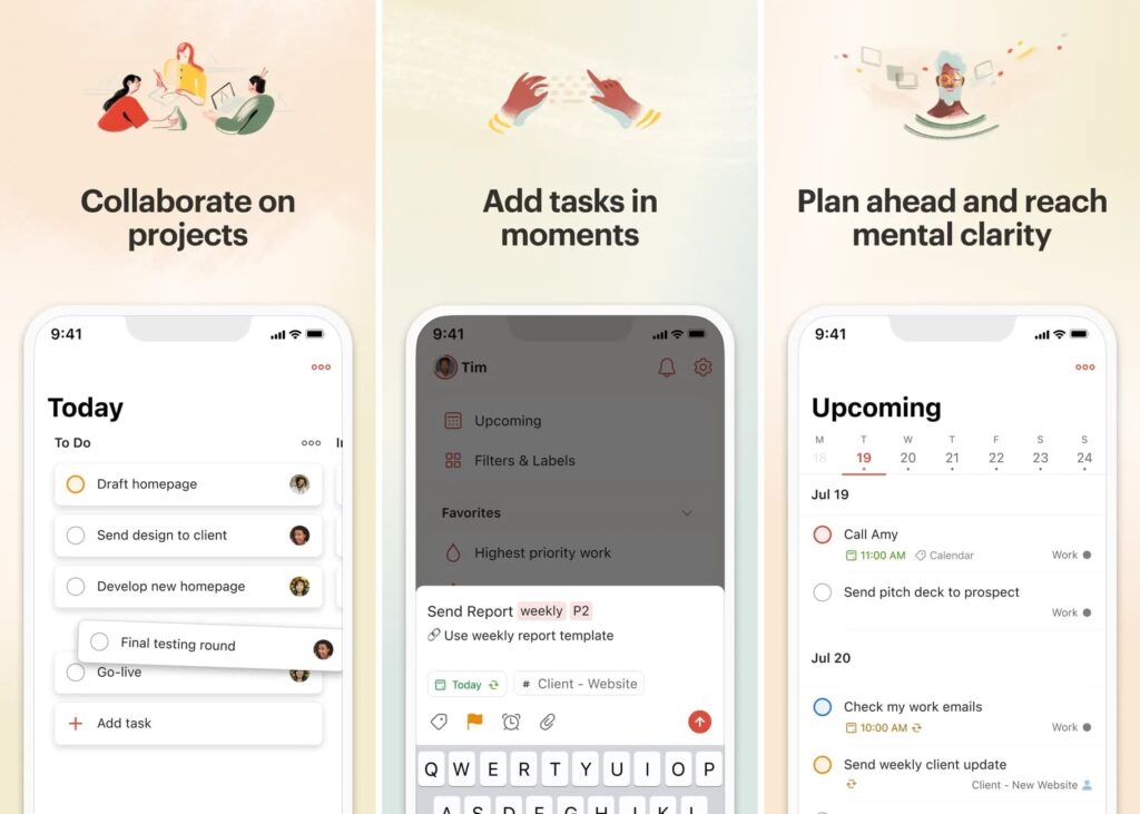 Todoist team management app