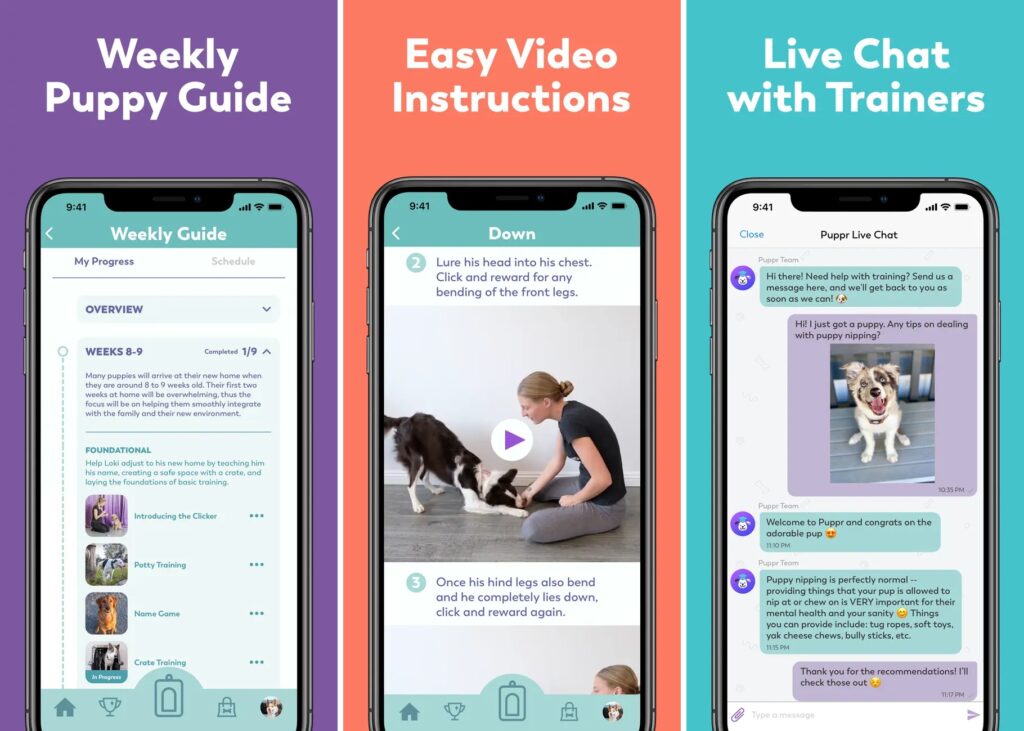 Puppr best dog training app