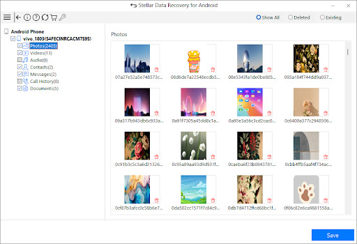 After the scan, the software will display a list of recoverable files