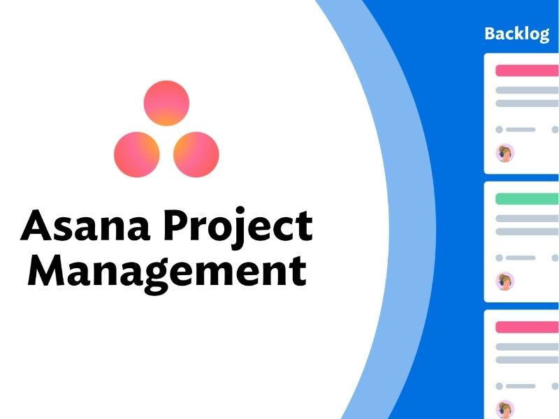 How to Use Asana for Project Management